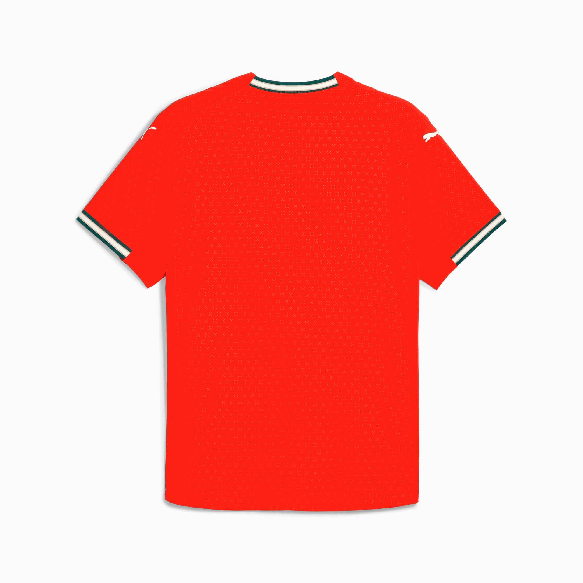 PORTUGAL | 2025 Men's Home Jersey